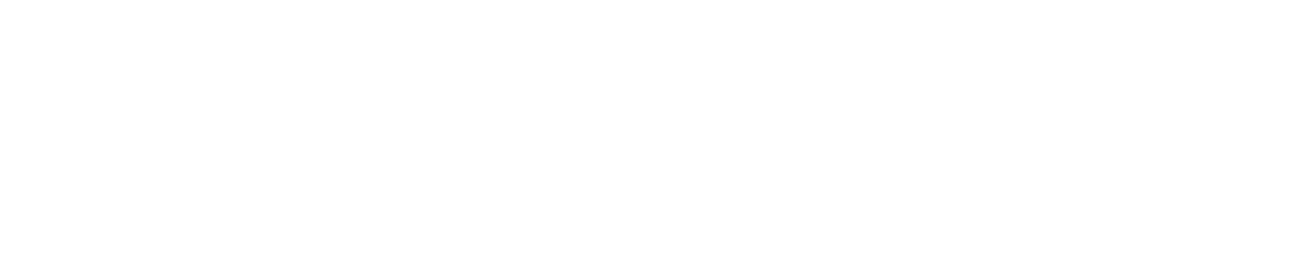 Logo BlueBird